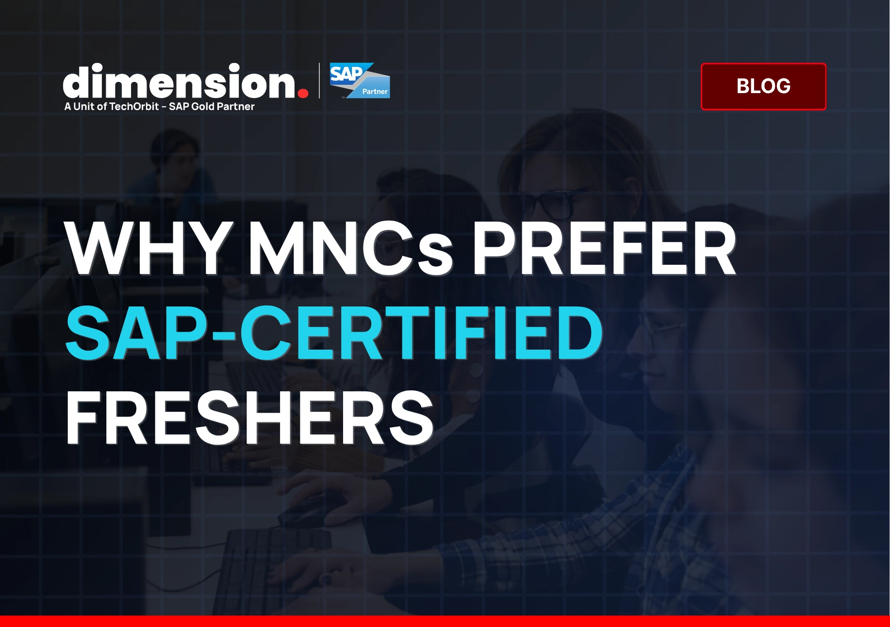 SAP Training for colleges
